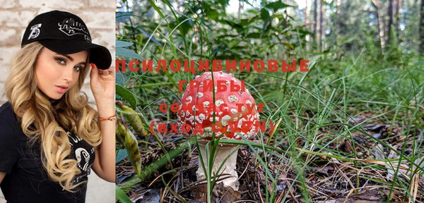 прущая мука Аркадак