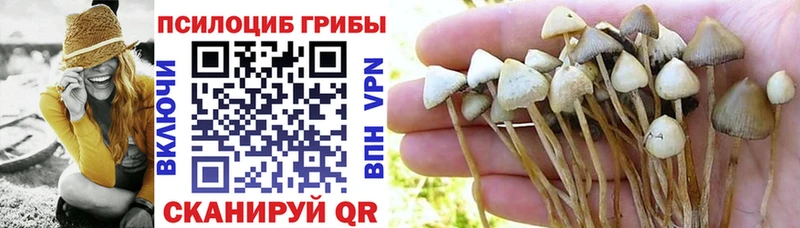Купить закладки  Межгорье  Псилоцибиновые грибы мицелий 